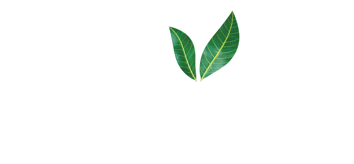 Maaza logo